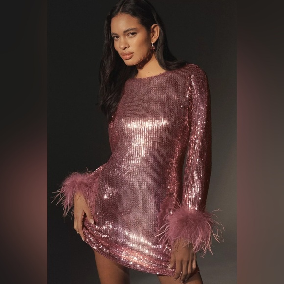 NWT Anthropologie Hutch Long-Sleeve Sequin Feather Mini Dress in Mauve size XS - Picture 1 of 12